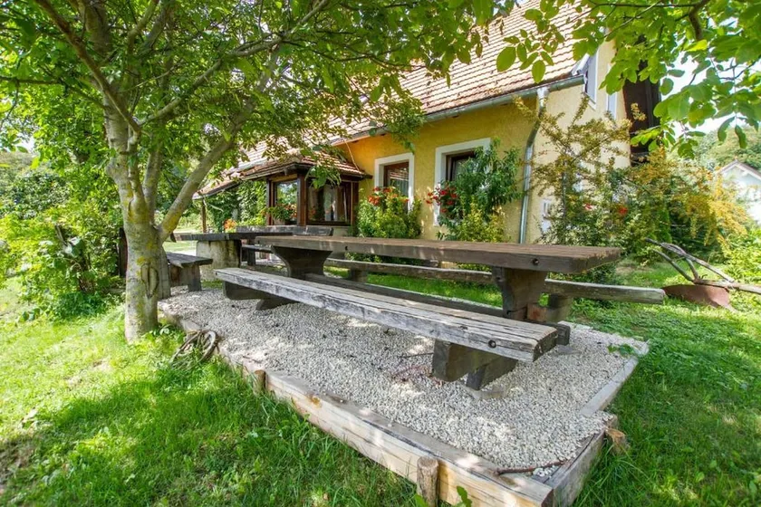 Big country house in the middle of vineyard - Image 1