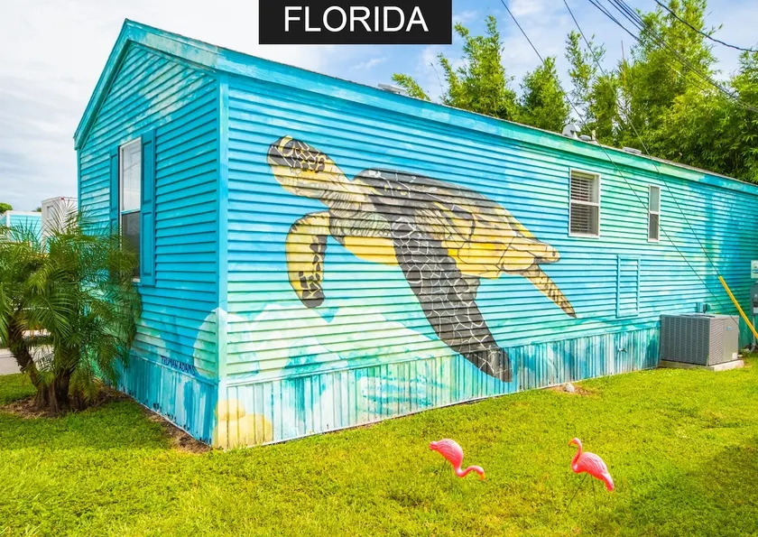 Tortue de mer - Grand format vivant dans notre parc Tiny House - WiFi gratuit - Image 1