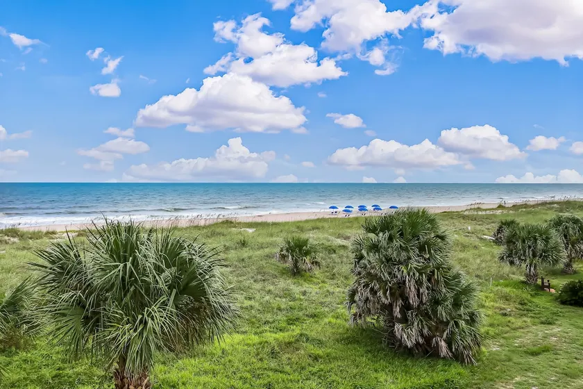 Amelia Island Oceanfront Retreat - Image 1