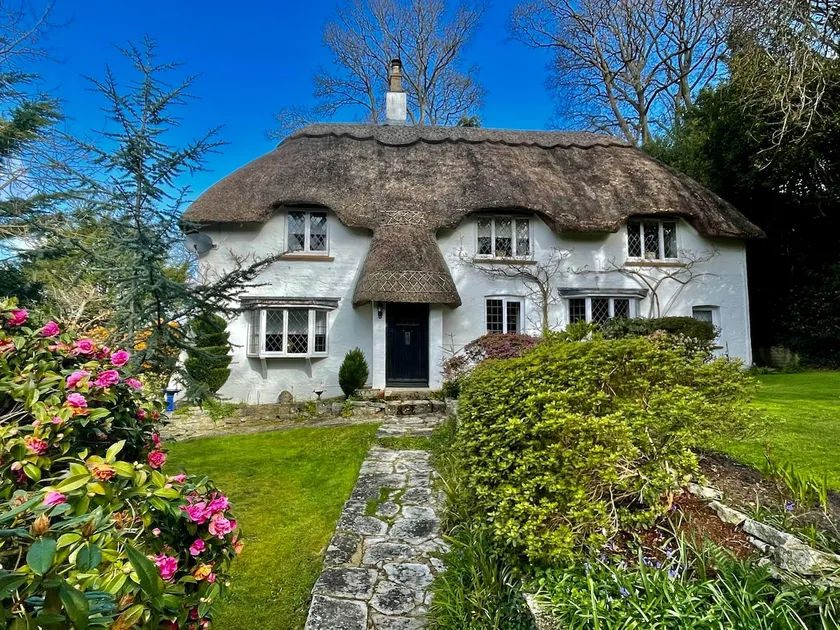 Forest Drove Cottage  New Forest Thatched Cottage - Image 1