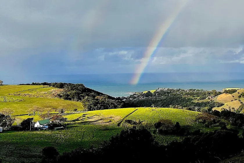 Saddleback Grove Kiama - Image 1