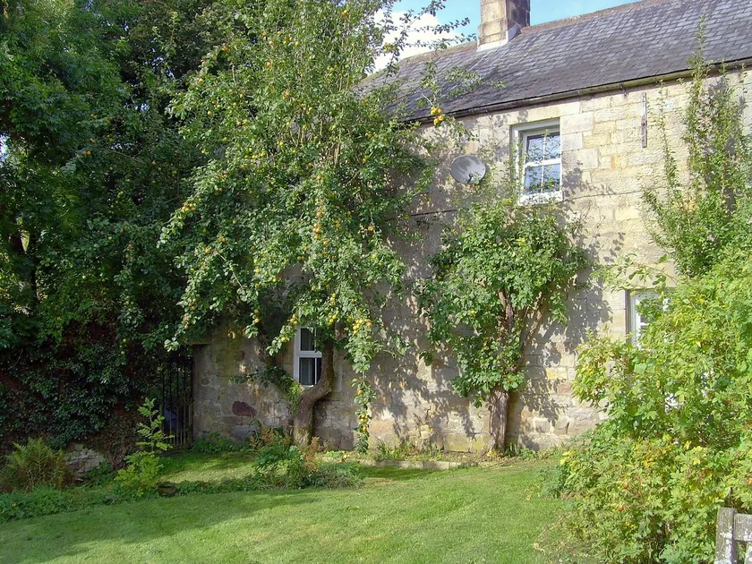 5 Schlafzimmer Unterkunft in Byrness Village, near Otterburn - Image 1