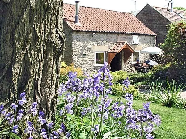 Old Barn Cottage - Image 1