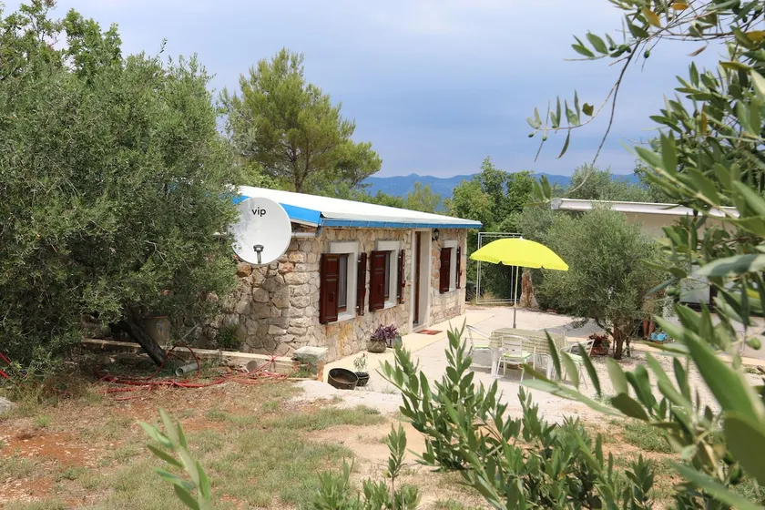 House Car Mirko - Image 1