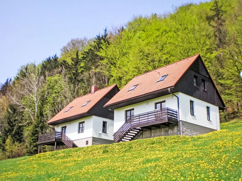Holiday Home Green Valley Park Stárkov 6 by Interhome - Image 1