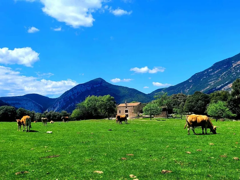 Localizado em um Pla D'Interès Natural Especial, perto de Olot e Sadernes - Image 1