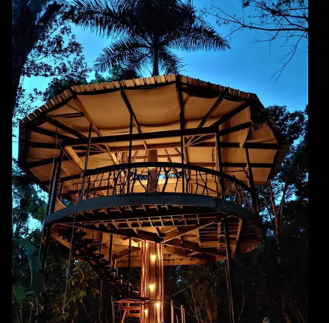 Treehouse of the Royal Palm - Image 1