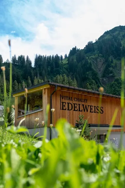 Vital Chalet Edelweiss - Image 1