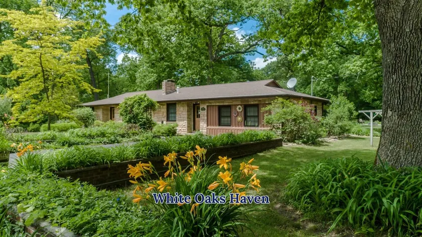 Dog-Friendly Nature Escape with Hot Tub & Fire Pit - Image 1