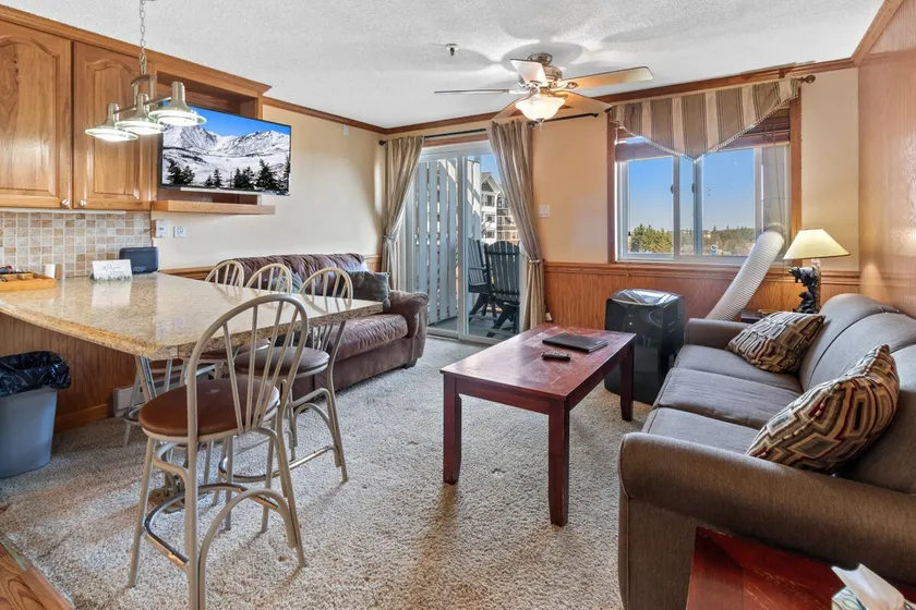 ML324 1BR/1BA mountain view (Connects to ML326) - Image 1