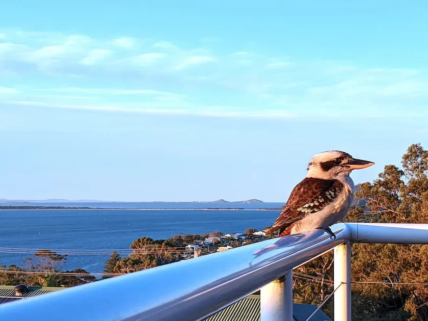 Uovervindelig udsigt over Port Stephens - Stillehavet - Image 1