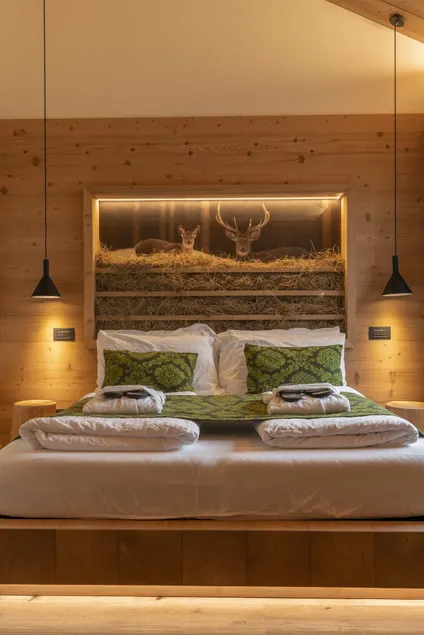 Casera Pian Grand Wellness Lodge - Image 1