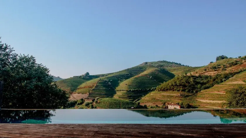 Grapegarden - Quinta do Vale da Ermida - Image 1