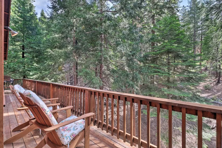 NY! Rymlig stuga, promenad till Big Trees State Park! - Image 1