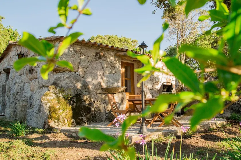 Domaine Pardini - Listincu Cottage - Image 1