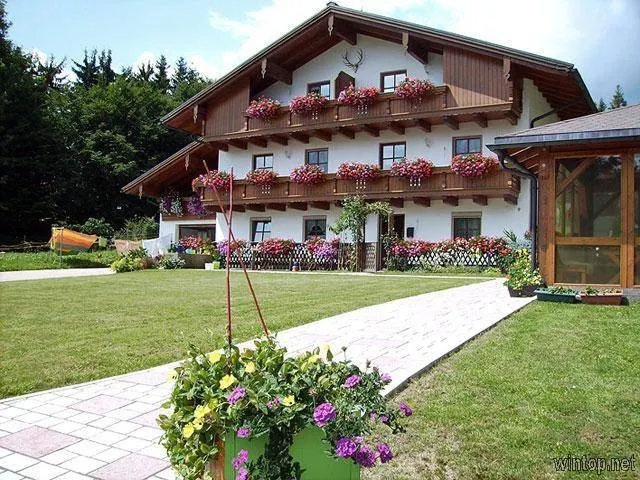 Ferienwohnung Klausgupf - Image 1