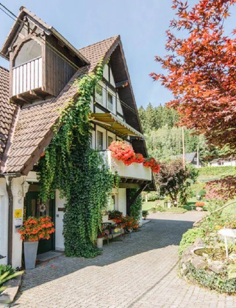 Cozy Holiday Home in Niedersalwey With Sauna - Image 1