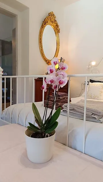 Hébergement avec 3 chambres à coucher pour 6 personnes - Image 1