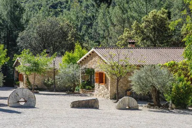 Child-friendly pleasant cottage with barbeque, terrace & garden | Garden view | Pet-friendly - Image 1