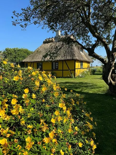 Holiday home with sauna, garden & hot tub - Image 1