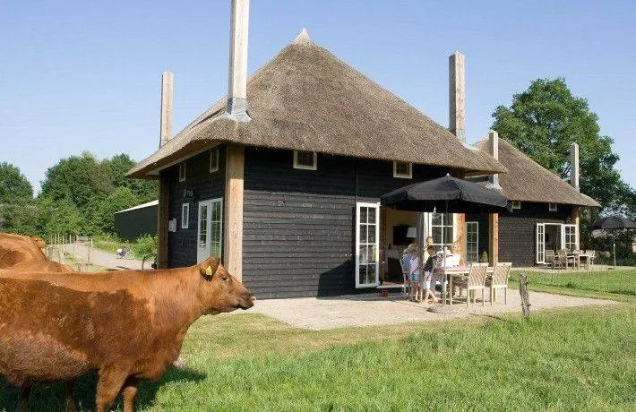 House with terrace & sauna | Pets are welcome - Image 1