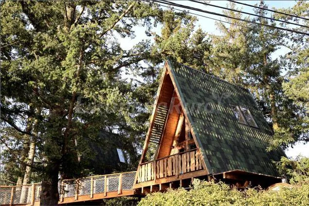 Child-friendly cottage with sauna, terrace & jacuzzi | Garden view - Image 1