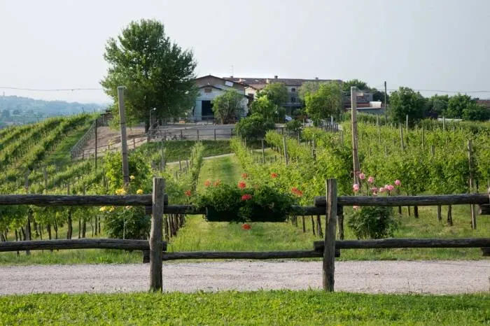 Moro Barel: Loghet - Image 1