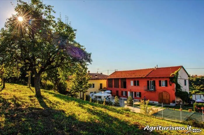 Paitin: Camera Gialla - Image 1