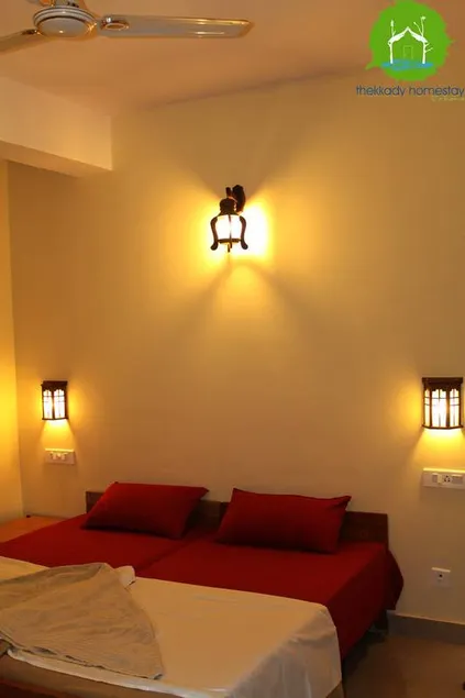 Thekkady homestay (Double deluxe bedroom with forest view balcony) - Image 1
