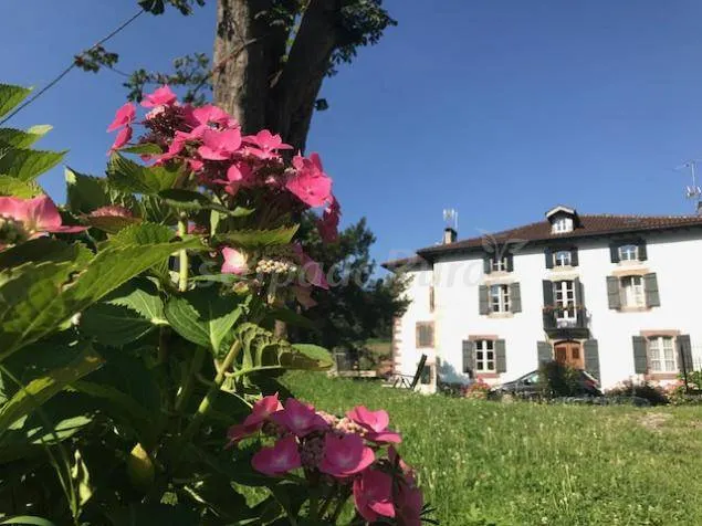 Wonderful cottage with terrace, garden & barbecue | City view | Pets are welcome - Image 1