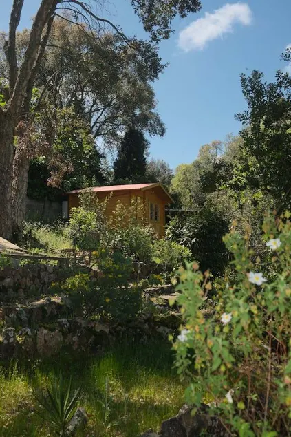 Carrer Anoia, Montbarbat - Image 1