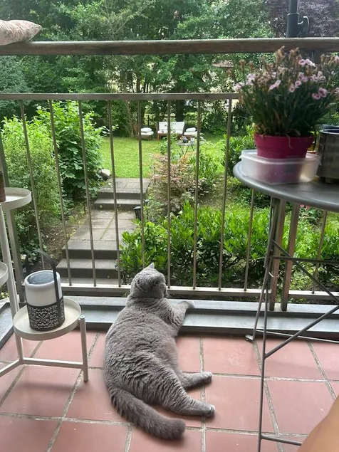Appartement de vacances avec jardin et terrasse - Image 1