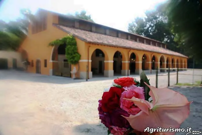 Agriturismo Fenilnovo: Fata Platano - Image 1