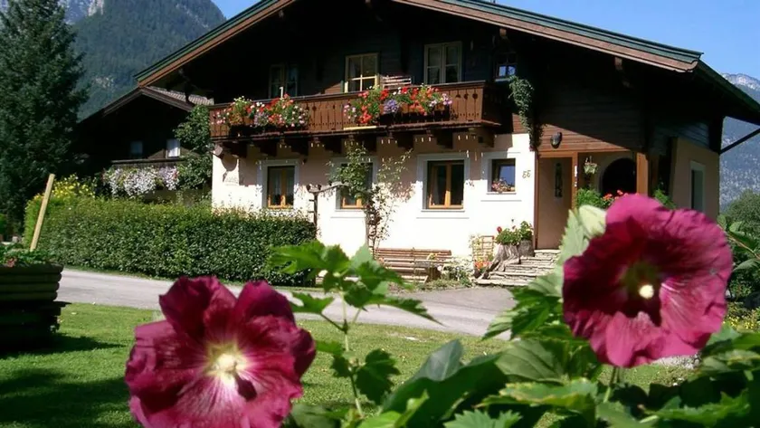Nice apartment | Garden view | Pet-friendly - Image 1