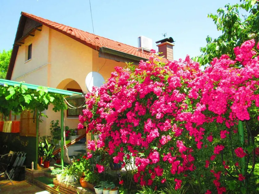 Maison avec terrasse, jardin et barbecue - Image 1