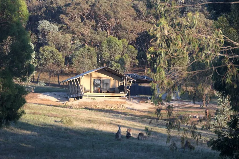 Stunning Sustainable Safari Tent with Gorgeous Views and Pool in Costerfield, Victoria - Image 1