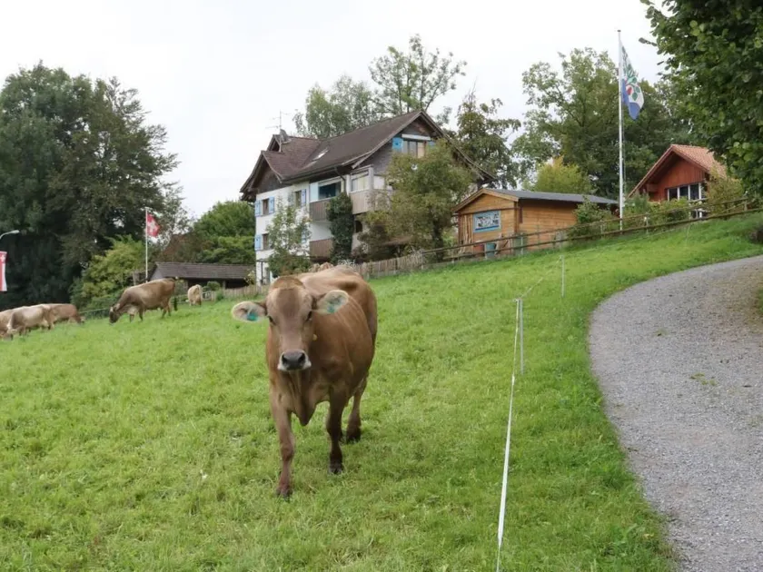 Panorama Blick - Image 1