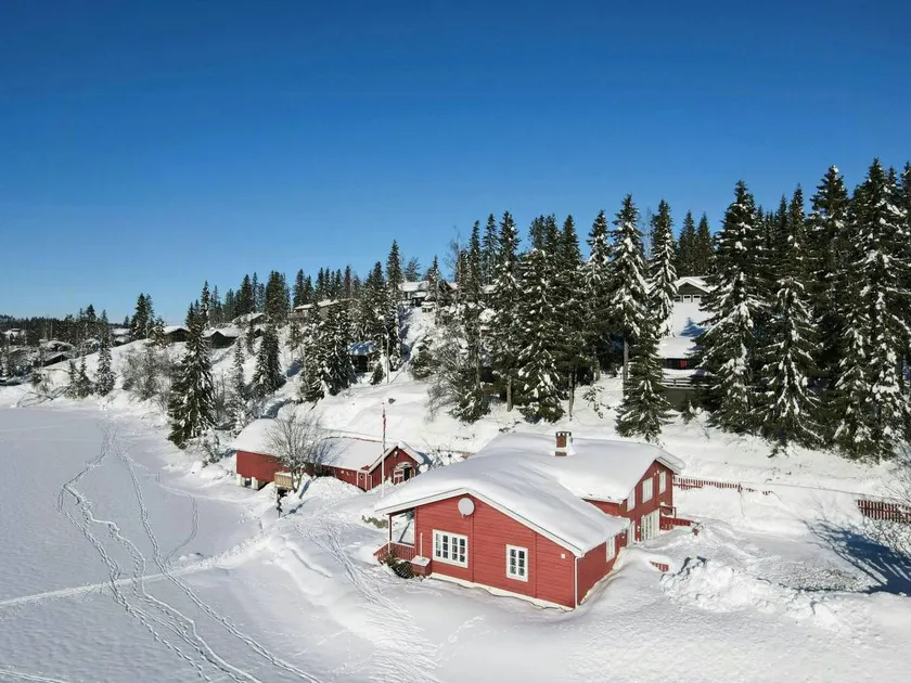 Family-friendly holiday home with garden, sauna & terrace | Sea view | Pets are welcome - Image 1