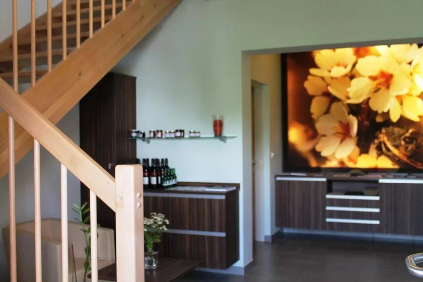 Apartment with garden & terrace - Image 1