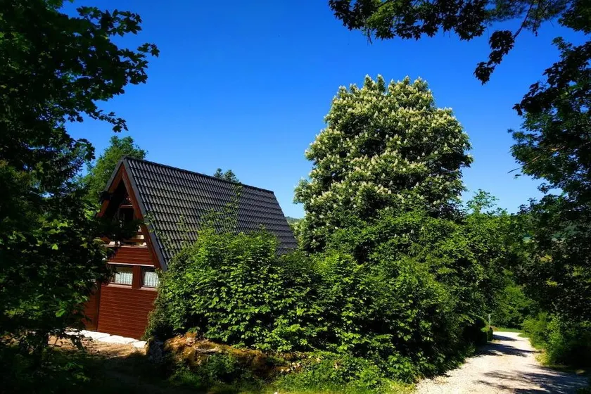 Holiday home with barbecue & terrace | Pets allowed - Image 1
