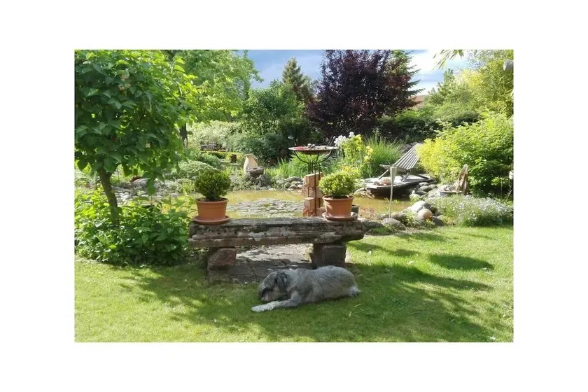 Lovely holiday home | Pet-friendly - Image 1