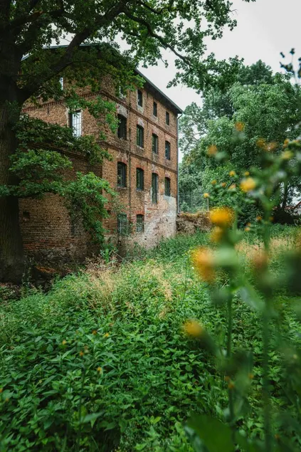 Holiday apartment with terrace & garden - Image 1
