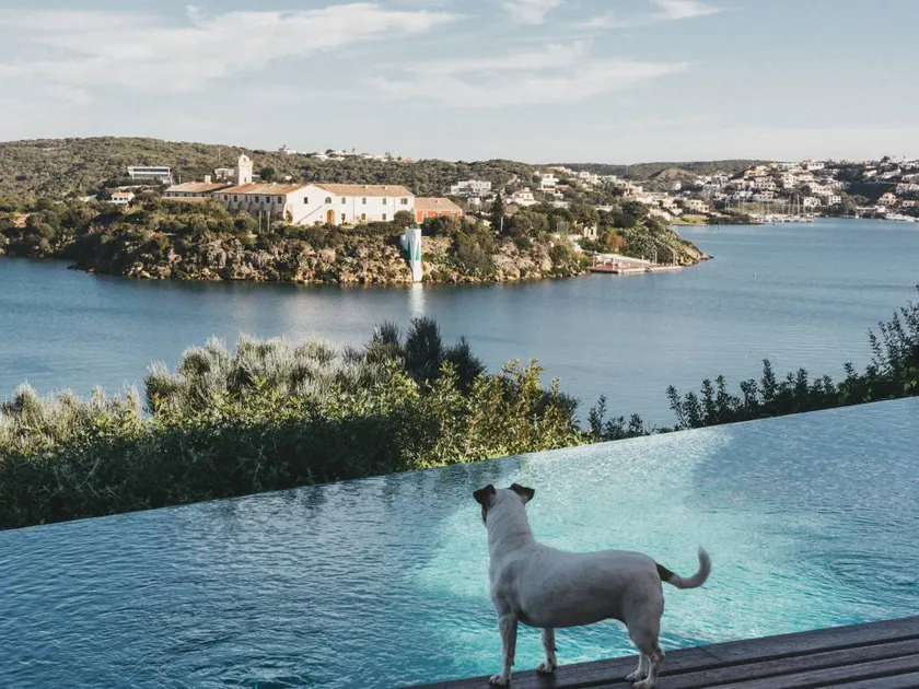 Fully equipped big villa with barbeque, private pool & garden | Dogs allowed - Image 1