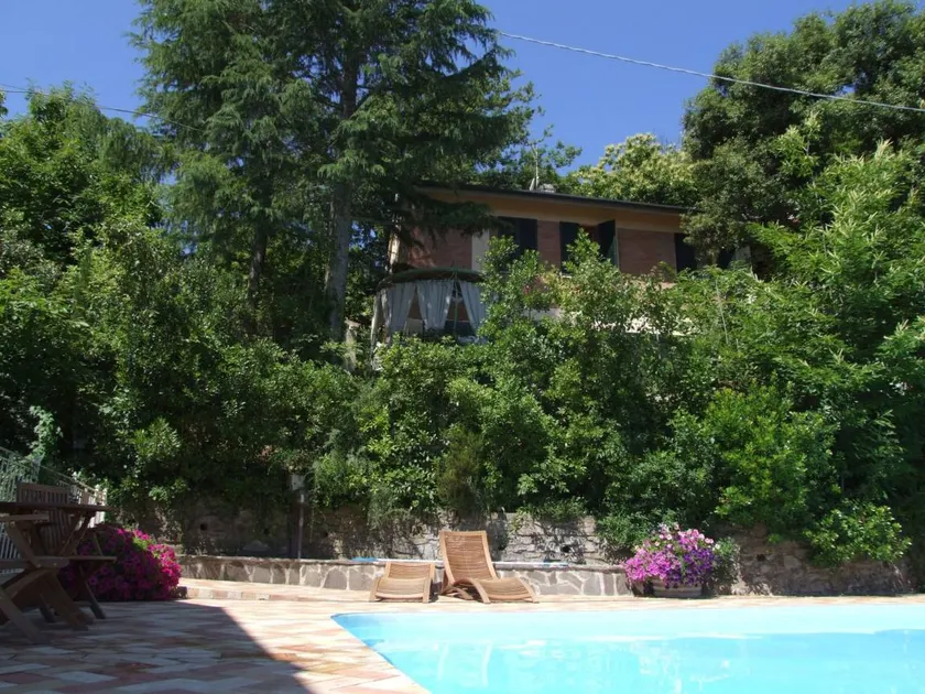 Erica - Image 1