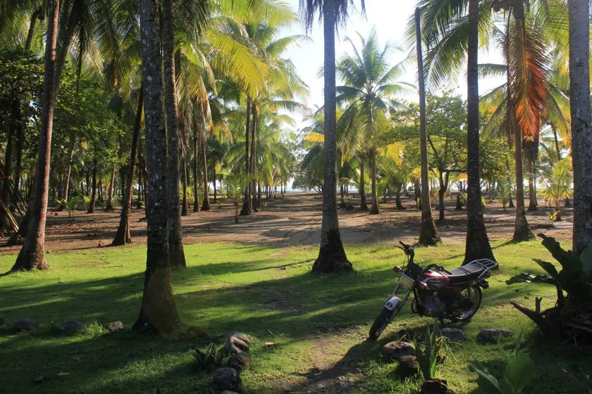 Las Olas Hostel - Image 1