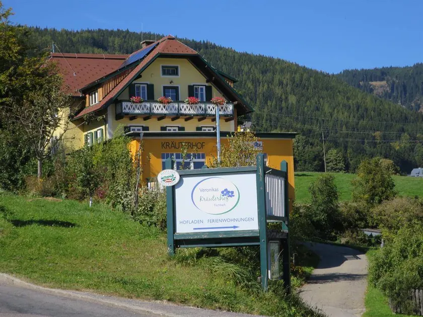 Apartment with garden - Image 1