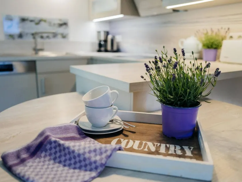Appartamento con terrazza, griglia e giardino - Image 1