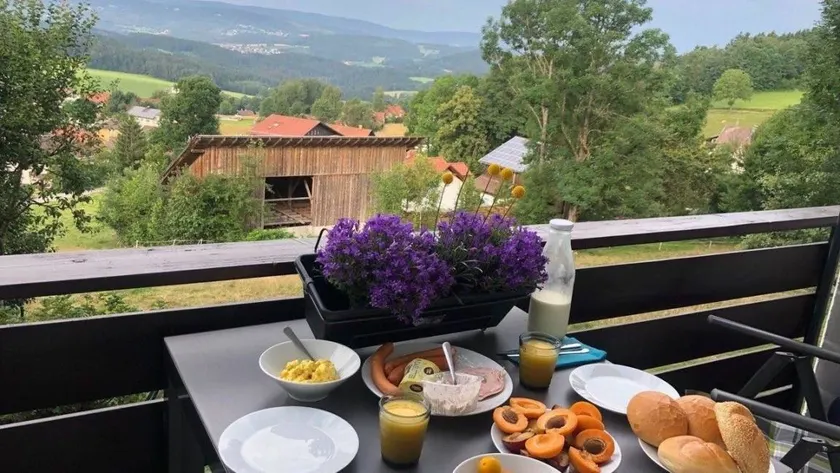 Merveilleux appartement de vacances avec barbecue et jardin | Avec animaux admis - Image 1