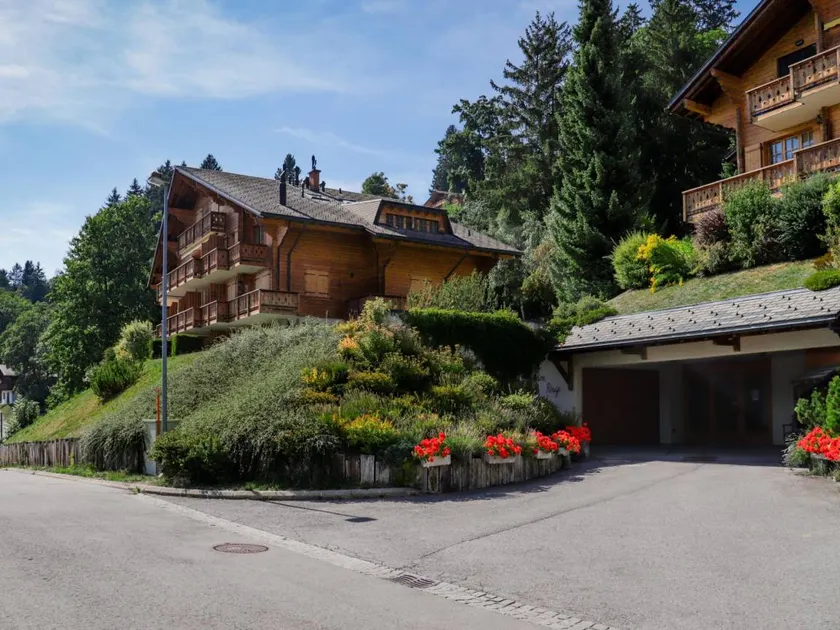 apartment with big garden and stunning view Chesieres - Image 1