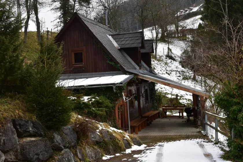 Family-oriented cabin with garden, terrace & BBQ | Pet-friendly - Image 1